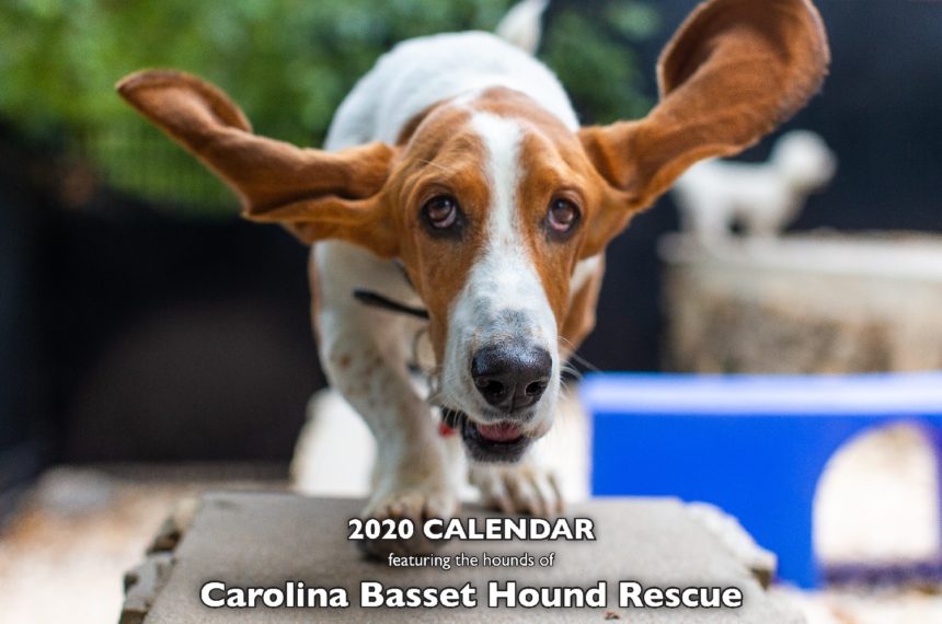 2020 CBHR Calendar on Sale