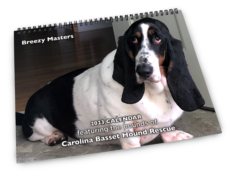 2023 CBHR Calendar On Sale Now Carolina Basset Hound Rescue 2023-cbhr-calendar-on-sale-now-carolina-basset-hound-rescue