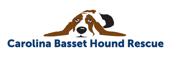 Carolina Basset Hound Rescue