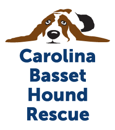 Carolina Basset Hound Rescue