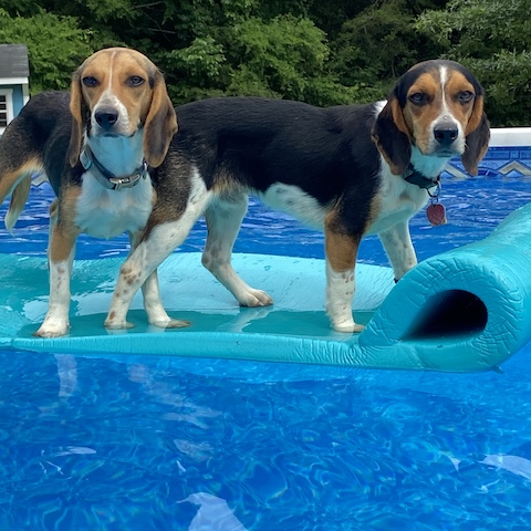 Fenway (bonded with Wrigley)
