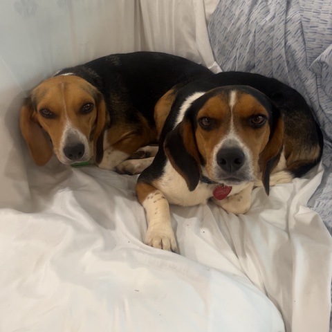 Wrigley (bonded with Fenway)