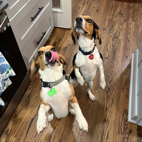Wrigley (bonded with Fenway)