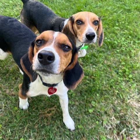 Wrigley (bonded with Fenway)