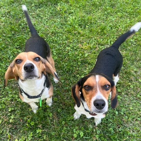 Wrigley (bonded with Fenway)