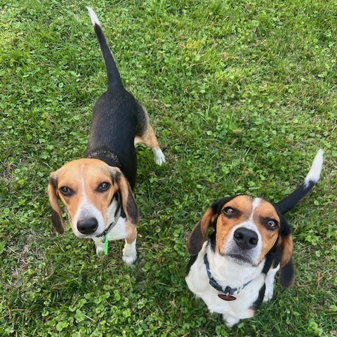 Wrigley (bonded with Fenway)