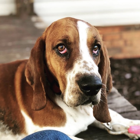 Copper (bonded with Taffy)