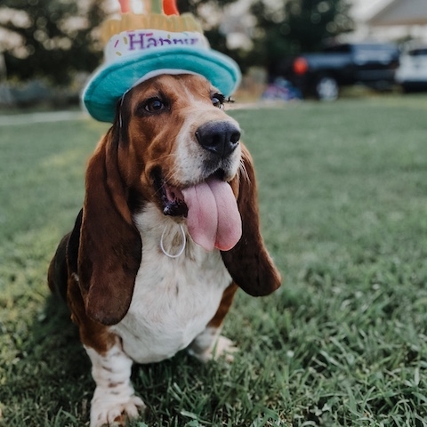 Copper (bonded with Taffy)