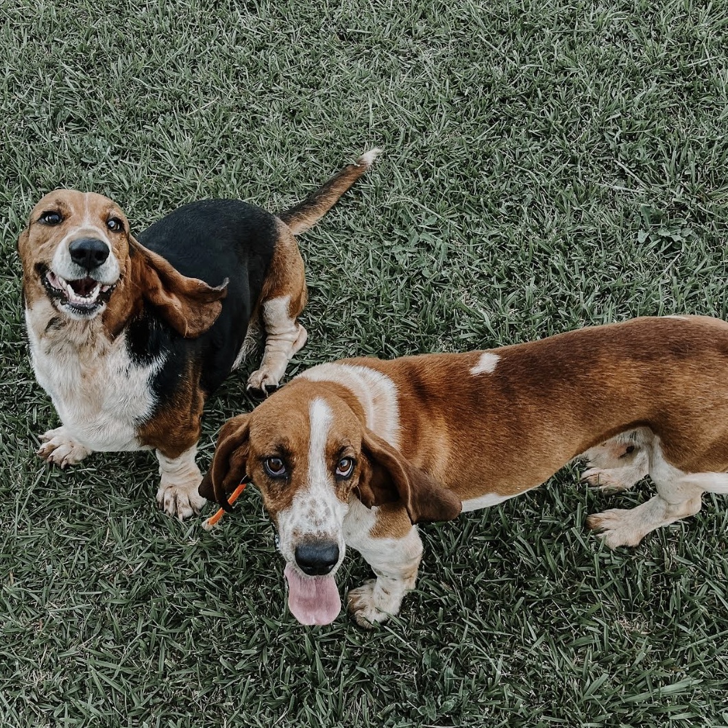 Copper (bonded with Taffy)