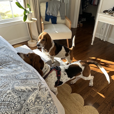 Roscoe