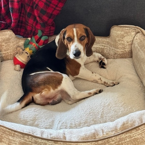 Knox (bonded with Delilah)