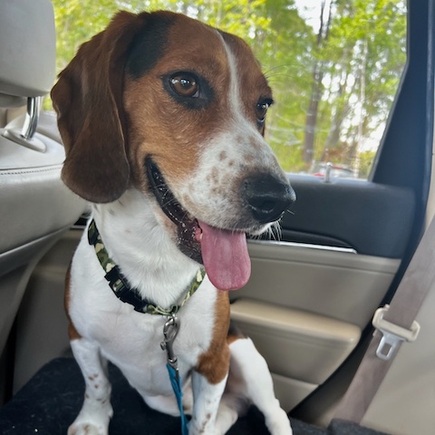 Knox (bonded with Delilah)