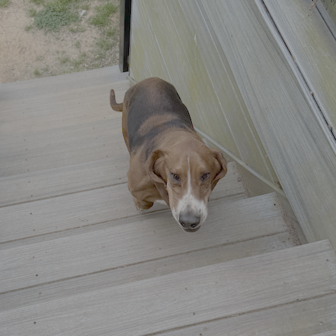Beauregard1 Beauregard