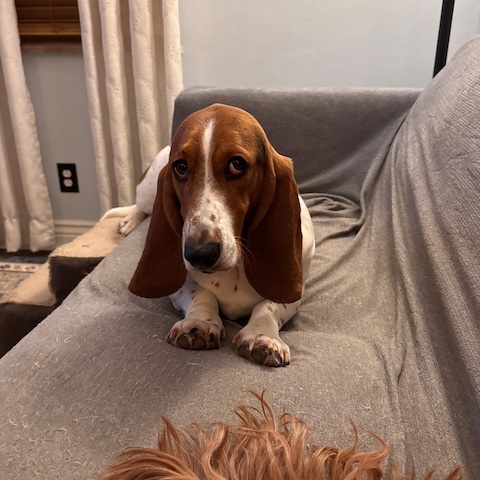 Daisy Mae