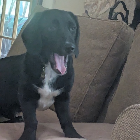 Maybelle2 Maybelle