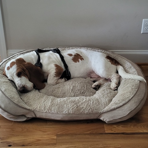 Stanley