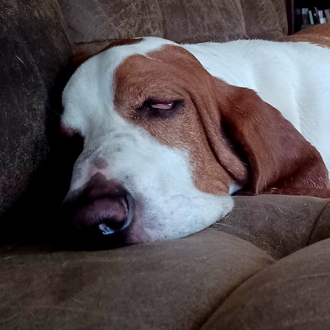 Watson