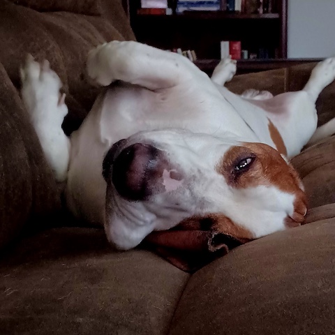 Watson