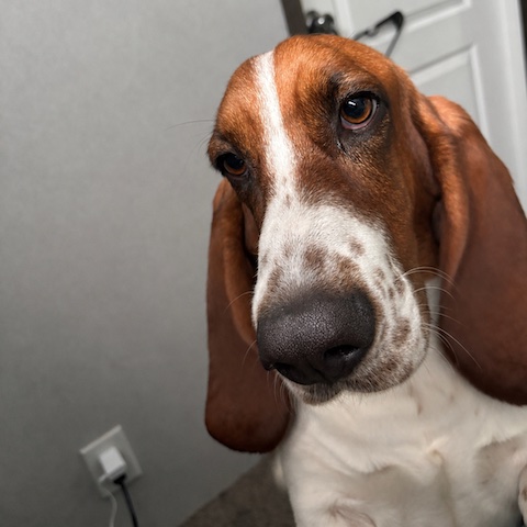 Howie