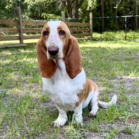 Reagan