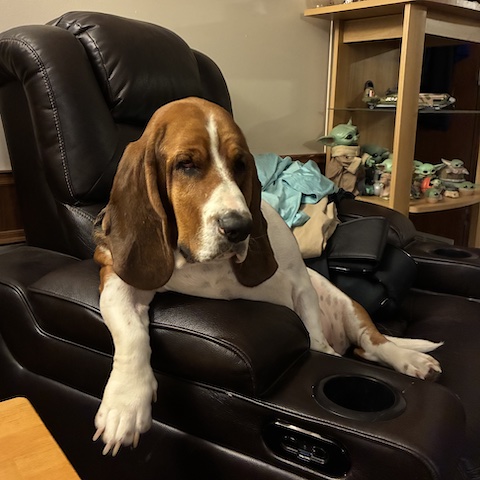 Winston