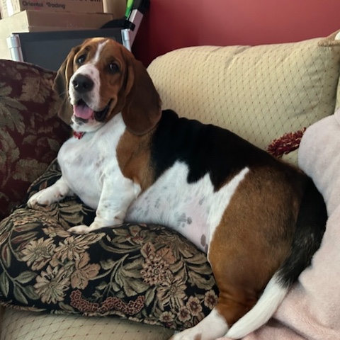 Winston