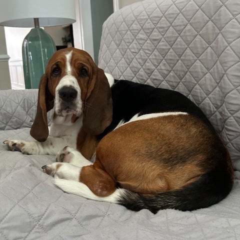 Winston