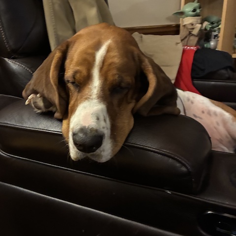 Winston