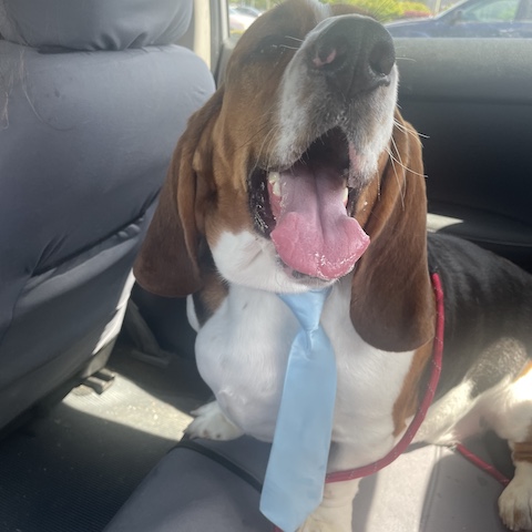 Winston