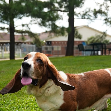 Murphy