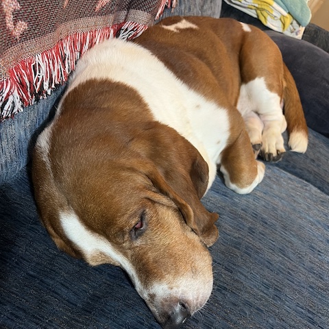Murphy