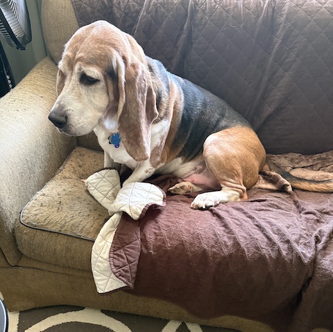 Franklin