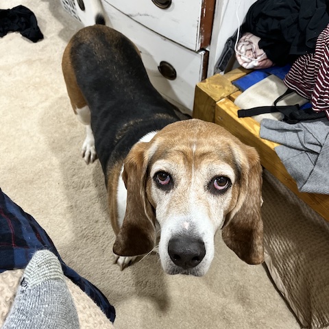 Franklin
