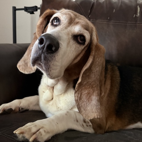 Franklin