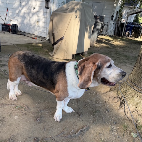 Franklin