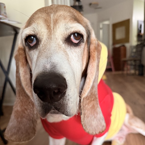 Franklin