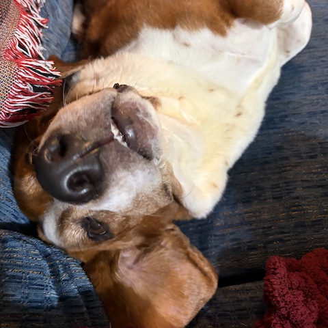 Murphy